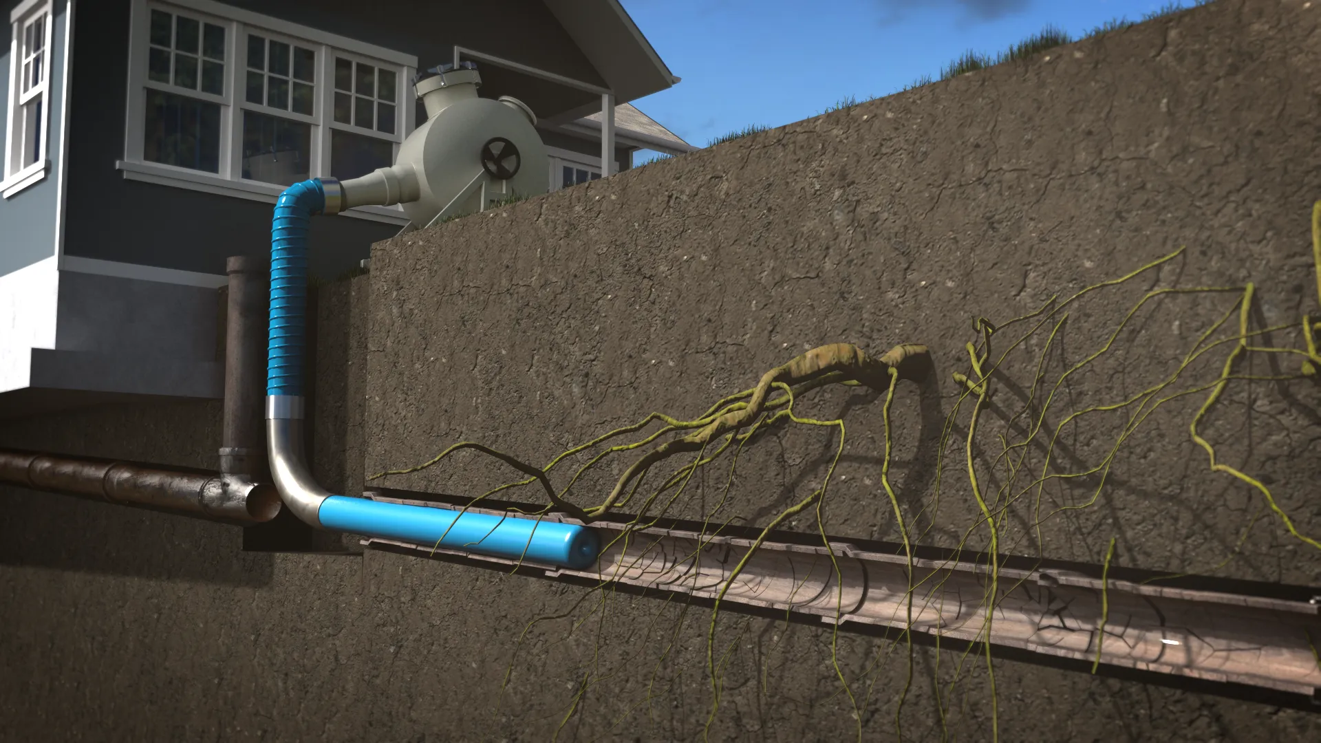 Pipe lining process lateral tree roots, 3D render by Signature Media